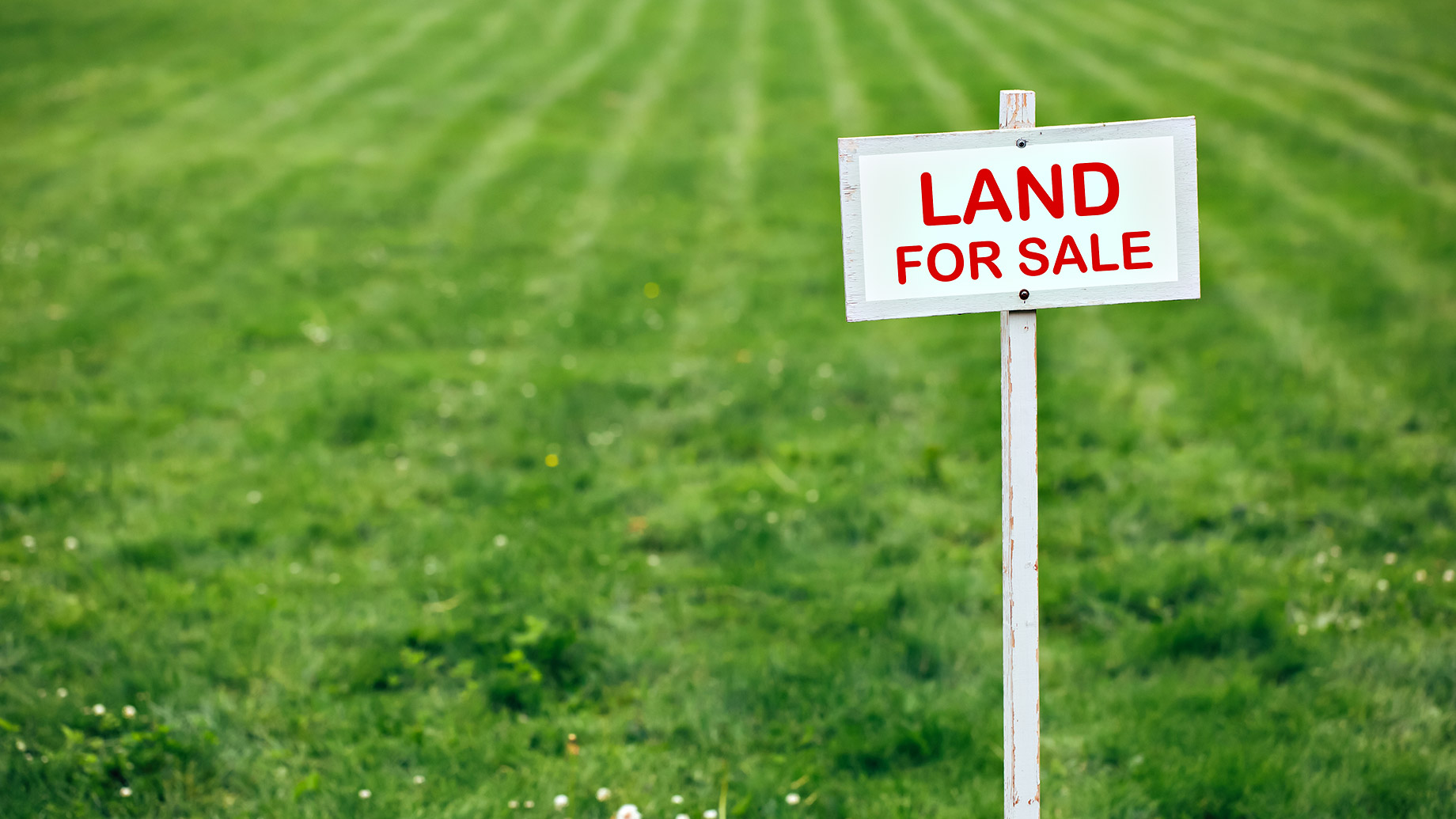 In Colorado, Sell Land with Selling Land Fast